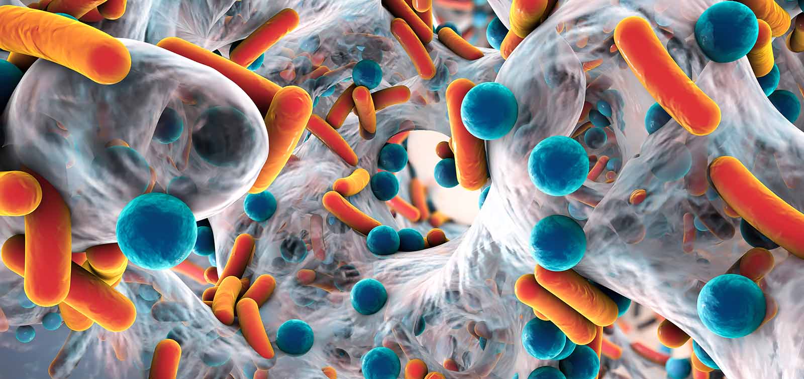 Biofilm of antibiotic resistant bacteria